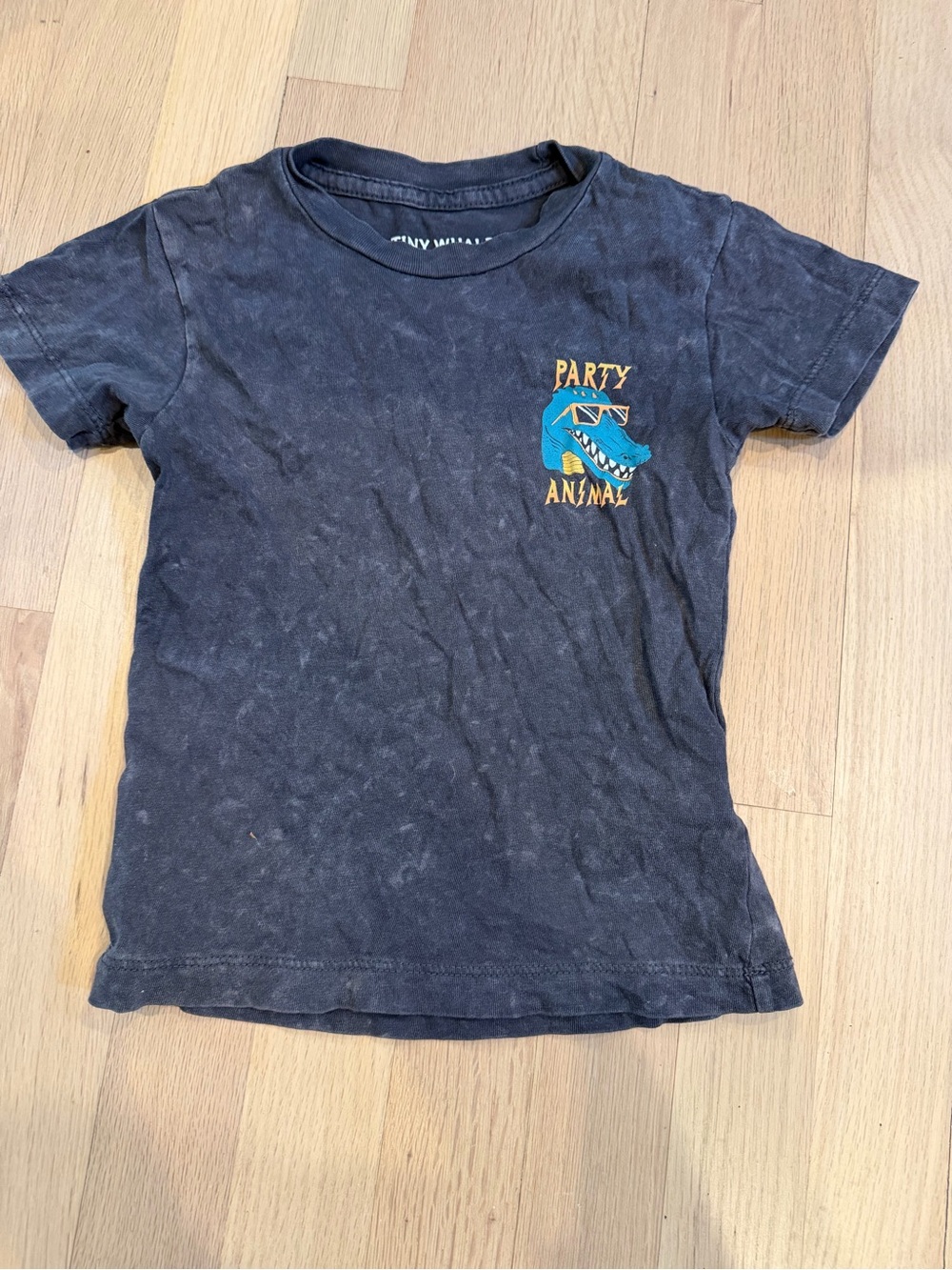 Kids' 'Party Animal' Graphic Tee - Charcoal Blue Dinosaur